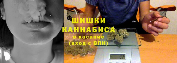 ПСИЛОЦИБИНОВЫЕ ГРИБЫ Арсеньев