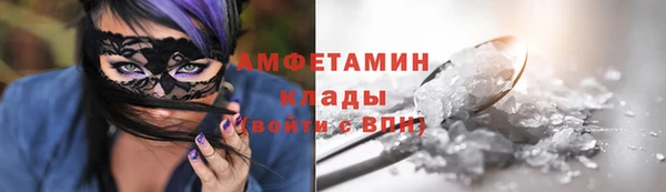 ГАЛЛЮЦИНОГЕННЫЕ ГРИБЫ Аркадак