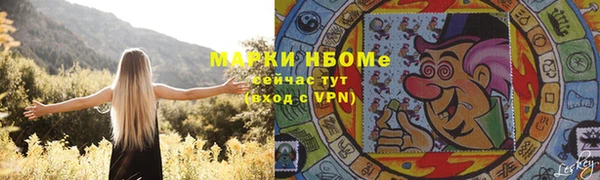 ПСИЛОЦИБИНОВЫЕ ГРИБЫ Арсеньев