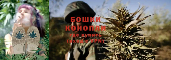 ПСИЛОЦИБИНОВЫЕ ГРИБЫ Арсеньев
