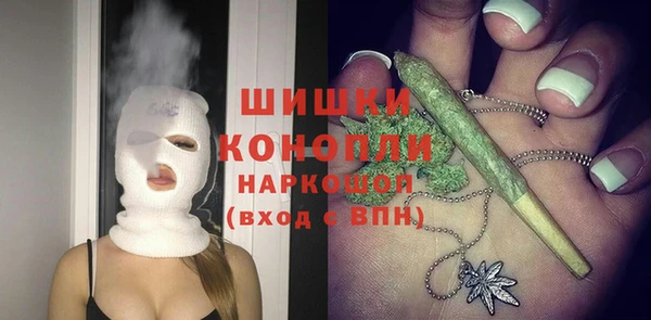 ГАЛЛЮЦИНОГЕННЫЕ ГРИБЫ Аркадак