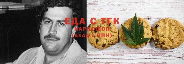 ГАЛЛЮЦИНОГЕННЫЕ ГРИБЫ Аркадак